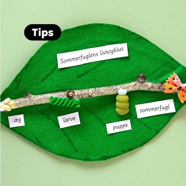 Tips