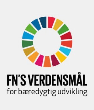 FN's verdensmål lekolar