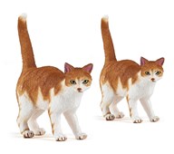 Katte