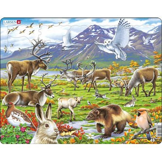 Puslespil - Arktiske dyr