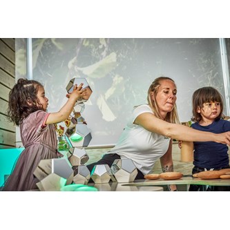 Spejlklodser tolvsidede