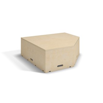 Fixa podium birk pentagon D88 cm