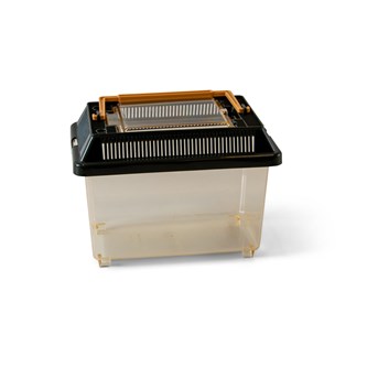Lille akvarium 10x17x13 cm