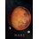 Curiscope Multiverse - Interaktiv plakat Mars