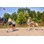 Flag football 4 farver
