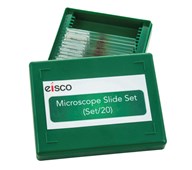 Mikropræparat dyreceller 20 stk.