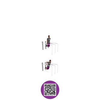 WORKOUT double dip stand