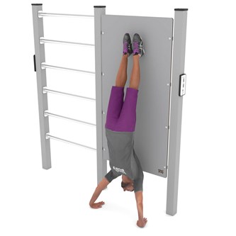 WORKOUT wall & wall bars