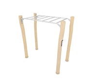 ROBINIA workout monkey bars