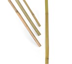 Bambuspinde 200 cm