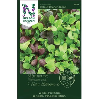 Pak choi