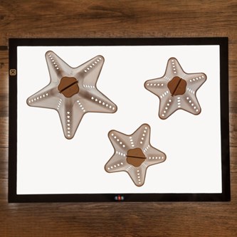 Sensoriske kegler jordfarver