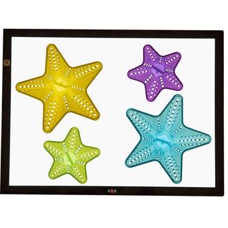 Sensoriske kegler transparente farver