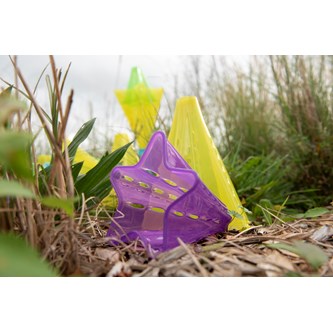 Sensoriske kegler transparente farver
