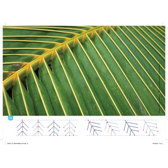 Aktivitetspakke med forberedende skriveøvelser