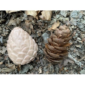 Naturens former af sten