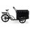Cargobike Classic 6 børn