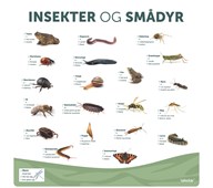 Læringstavle Insekter og smådyr