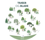 Gulvfolie Træer og blade