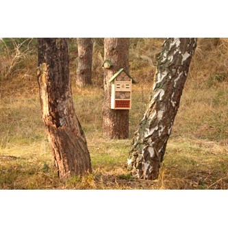 Nectar insekthotel M