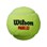 Wilson padelbolde 3 stk..