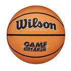 Wilson basketball str. 5