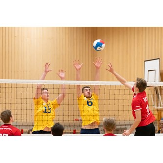 Gala volleyball, kamp, FIVB-godkendt