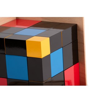 Nienhuis Den trinomiale kube