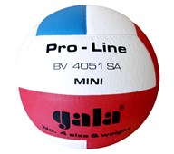 Gala volleyball str. 4