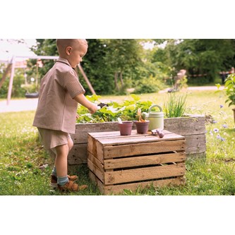Dantoy Green Garden plantesæt