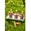 Dantoy Green Garden minidrivhus