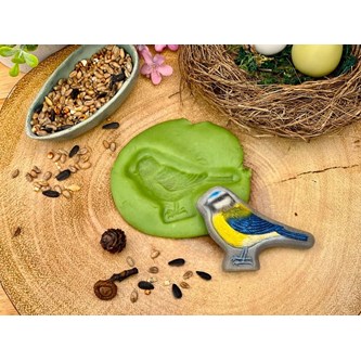 Sensoriske fugle af sten