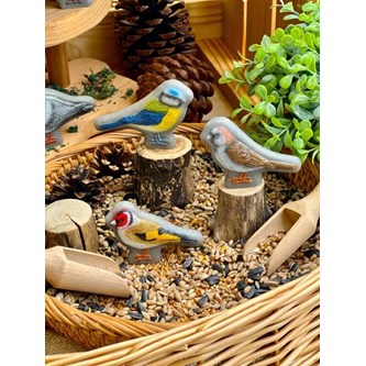 Sensoriske fugle af sten