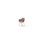 Zoom stol