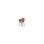 Zoom stol