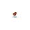 Zoom stol