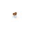 Zoom stol