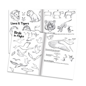 Lær at tegne dyr, bog