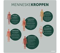 Læringstavle - menneskekroppen 120x120