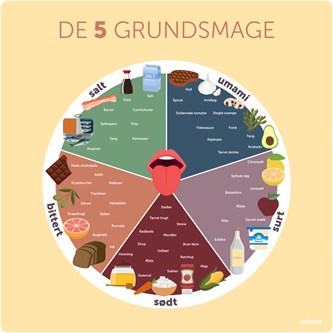 Læringstavle - de 5 grundsmage 120x120