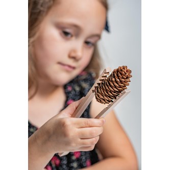 Pincet i træ, 12-pk.