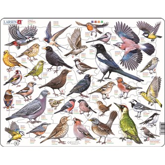 Puslespil Fugle i haven