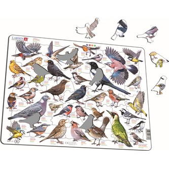 Puslespil Fugle i haven