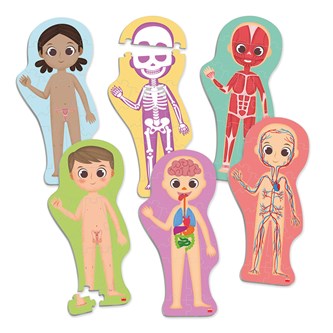 Gulvpuslespil kroppen 6 stk.