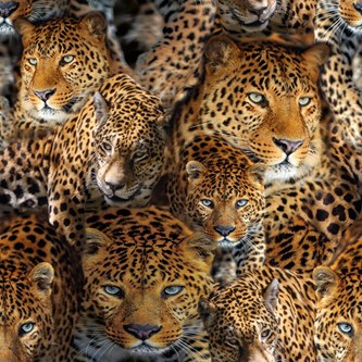 Mønstret canvas, leopard