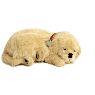 Terapihund der trækker vejret