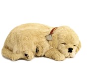 Terapihund der trækker vejret