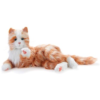 Multisensorisk og interaktiv terapikat