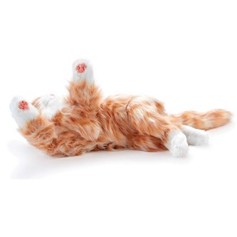 Multisensorisk og interaktiv terapikat