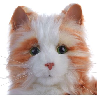 Multisensorisk og interaktiv terapikat